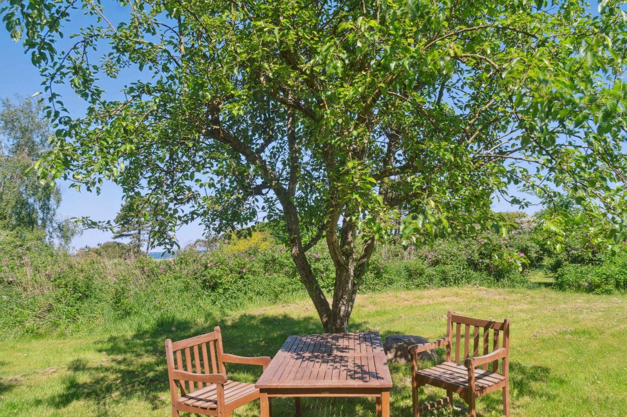 Idyllic Coastal Cottage Comfort And Relaxing Калундборг Екстериор снимка